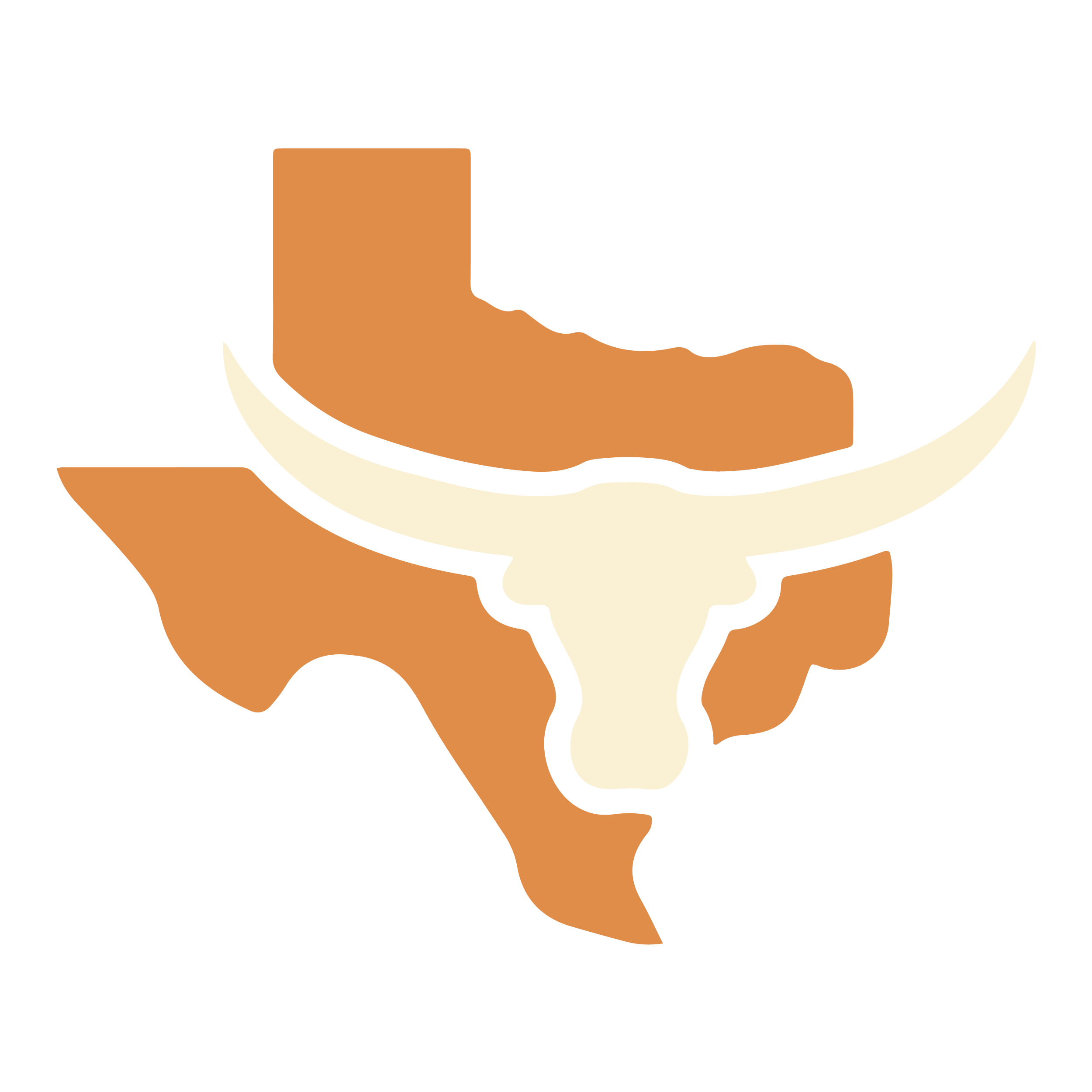 Texas State Roleplay icon